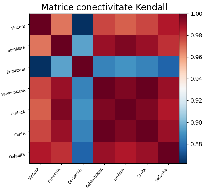 Matrice de conectivitate funcțională Kendall