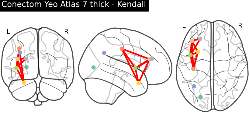 Conectom — cele mai relevante conexiuni, Yeo Atlas 7 thick Kendall
